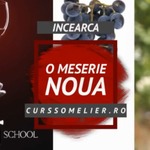 Cursuri Somelier Promo